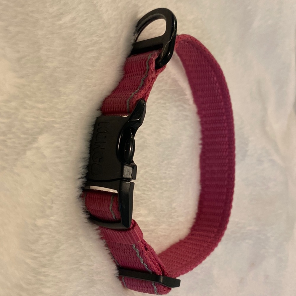 Pink Kong dog collar